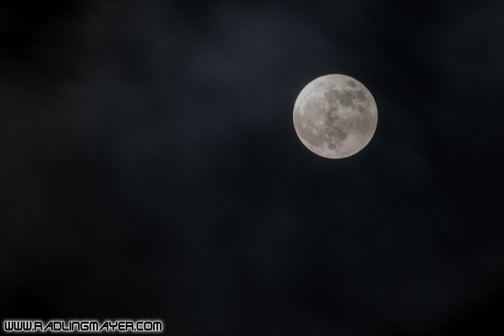 DSC_3040